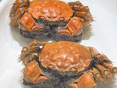 -新天明砂锅鱼头煲