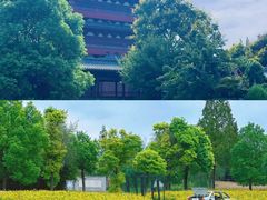 -祥源·阜阳生态乐园