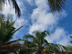 -瑰丽酒店·海吧·天际下午茶·现场DJ·天台酒吧