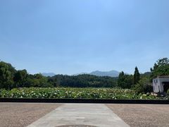 -清漾毛氏文化村