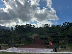 -海南热带雨林国家公园吊罗山景区