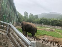 -西安秦岭野生动物园