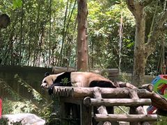 -上海野生动物园