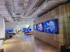 -Sony Store 索尼(上海淮海中路店)