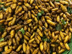 -席娜卡琳火车铁道夜市