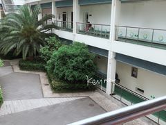 -沈坚强游泳俱乐部(长征分部)