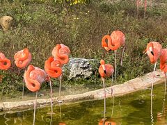 -杭州野生动物世界