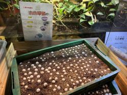 -酷嗒动物文化乐园(cutezoo西溪乐天城店)