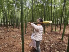 -同里国家湿地公园
