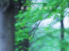 -尚贤河湿地