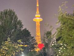 -龙塔