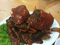 -ZF Seafood Restaurant 卓峰海鲜餐