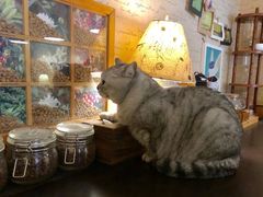 -隅cafe(傅厚岗店)