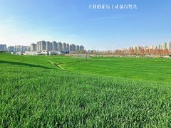 -白鹭湾湿地公园