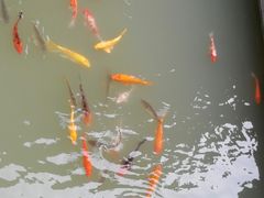 -陈武帝故宫