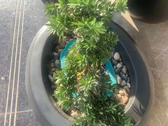-珠海拱北富华里环宇城亚朵酒店