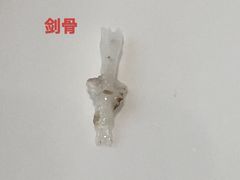 -干老四雅鱼饭店(滨江西路店)