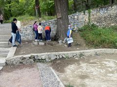 -阳台山自然风景区