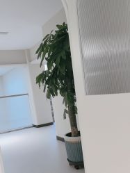 -柯莲娜医学美容