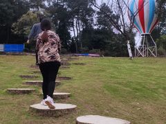 -铁山坪森林公园