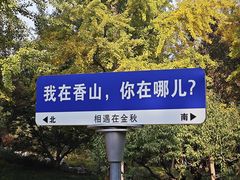 -香山公园