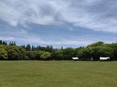 -上海滨江森林公园