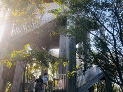 -帽儿山国家森林公园