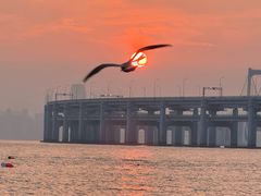 -星海湾跨海大桥