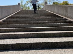 -桃花岛景观公园