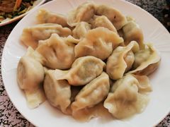 -东北饺子馆(外贸路a9号店)