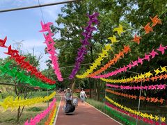 -桤木河湿地公园