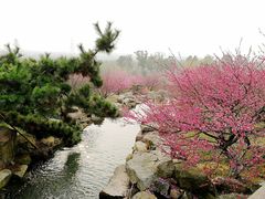 景点-大阳山国家森林公园
