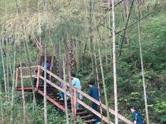-宁波浙东大竹海景区