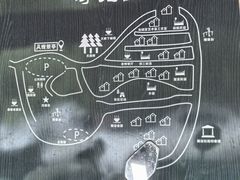 -杨家堂村