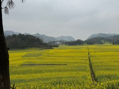 -牛街螺丝田