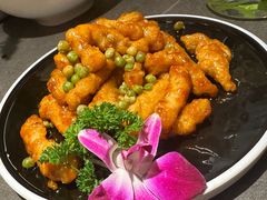 -前海沿·青岛菜(大拇指广场石老人店)