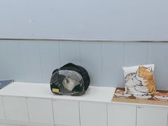 -纳吉亚猫专科动物诊疗中心(蒋宅口分院)