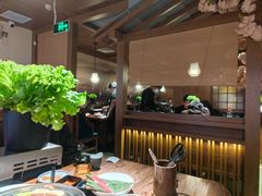 -九田家黑牛烤肉料理(太阳宫广场店)