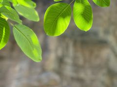 -龙门涧景区