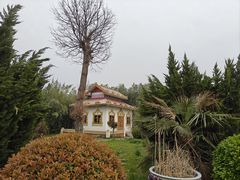 -洛阳白马寺