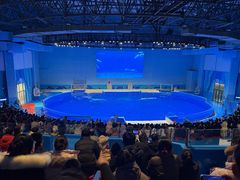 -石家庄极地海洋世界