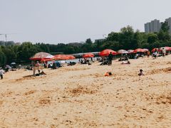 -青枫公园