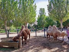 -长白岛森林公园