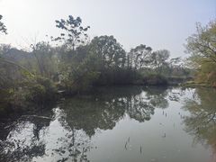 -烟水渔庄餐厅(西溪湿地店)