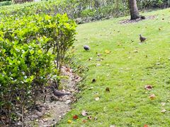 -徐家汇源景区-衡山公园