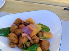 -鸽小宝(深圳首店)