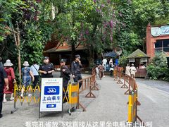 -西双版纳原始森林公园
