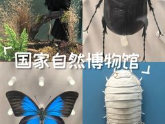 -国家自然博物馆