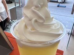 -萨朗刀克冰淇淋雪花凉(植物园店)
