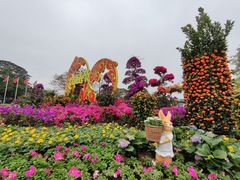 -东莞植物园